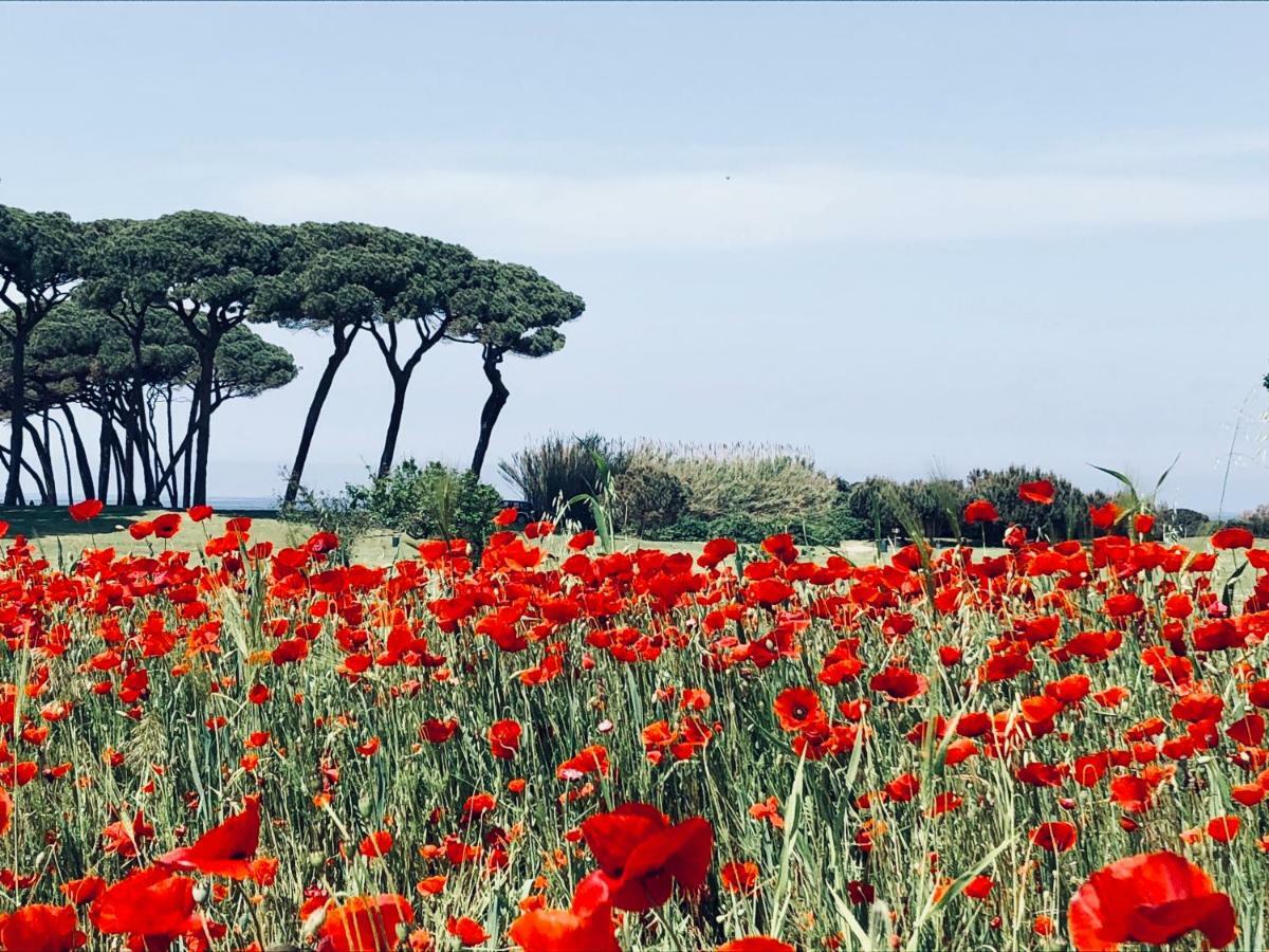La Casa Nel Castello E Il Giardino Segreto Villa Suvereto Dış mekan fotoğraf